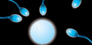 L'inquiétant déclin du sperme en France